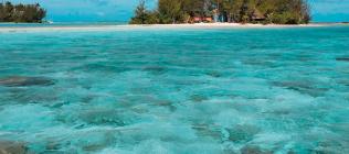 Pension Bora Bora Ecolodge