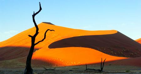 Le Namib