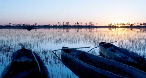 Botswana : Le Delta de l&#039;Okavango
