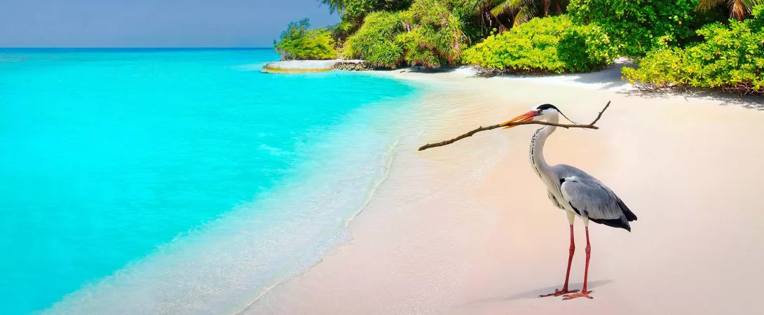 Voyages Maldives