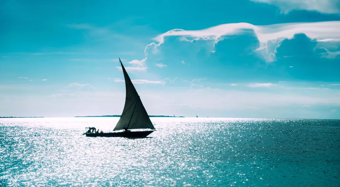 Voyage Zanzibar