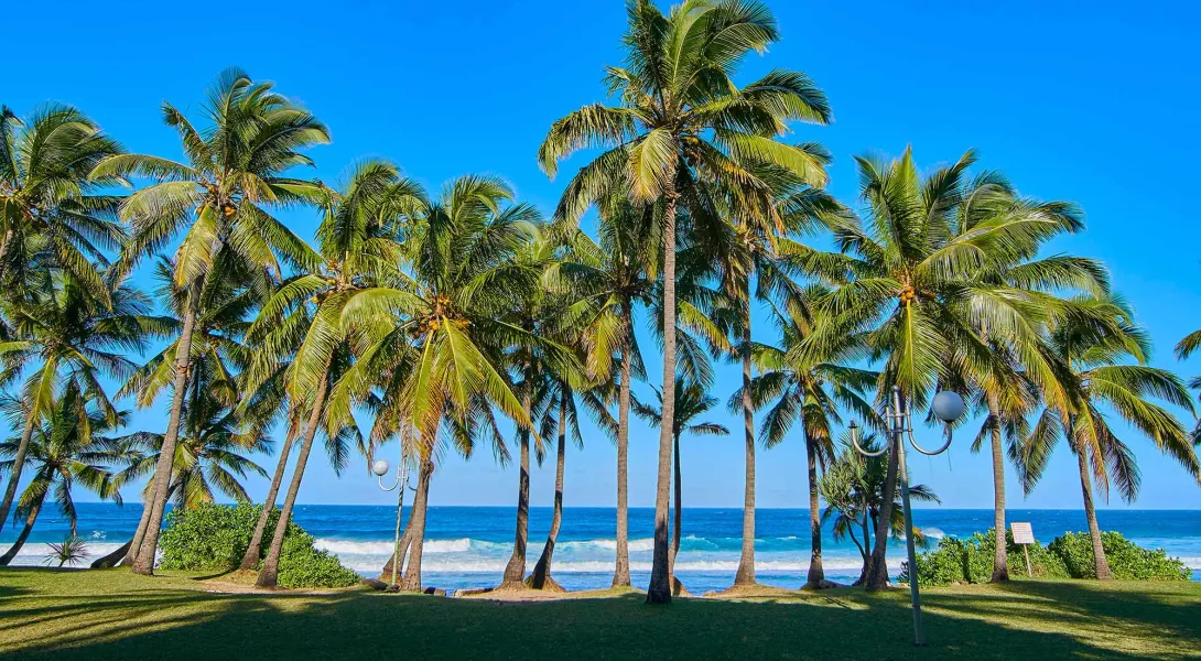 Voyage île de la Réunion