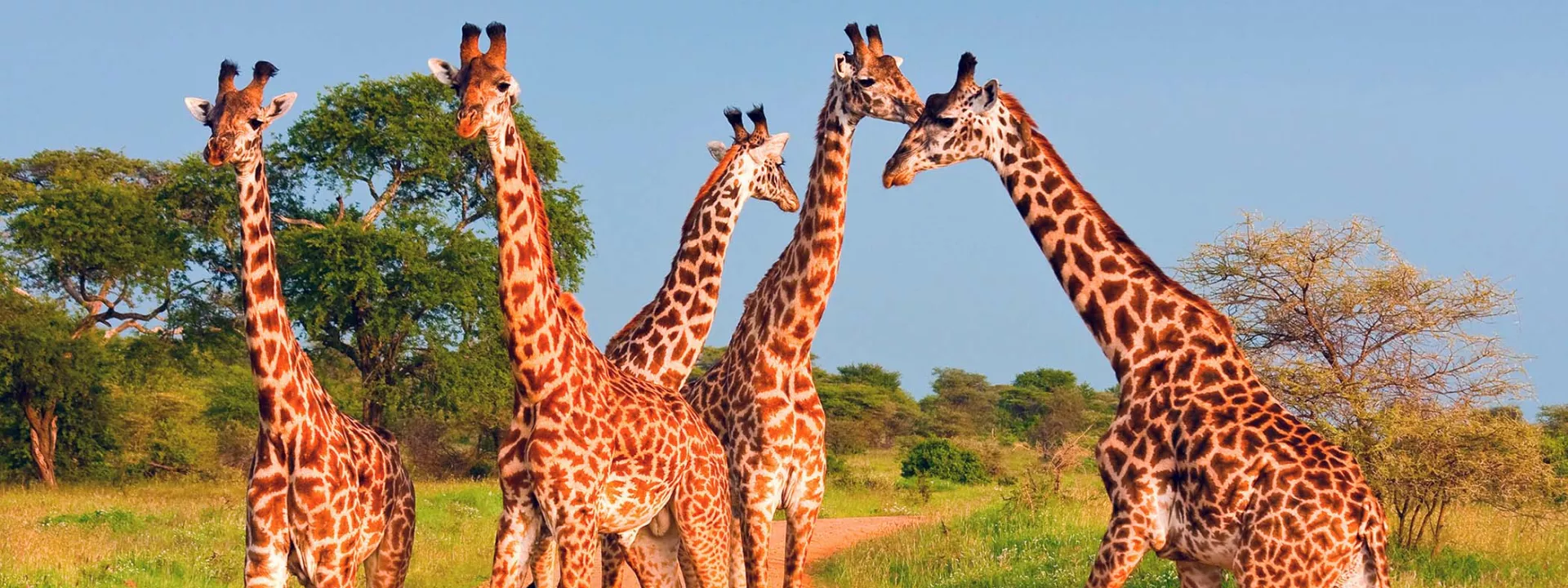 Voyage Tanzanie