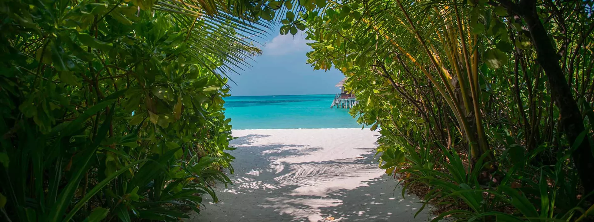 Voyage Maldives Coco Palm Dhuni Kolhu