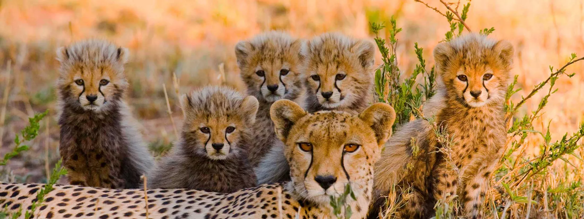 Voyage Tanzanie