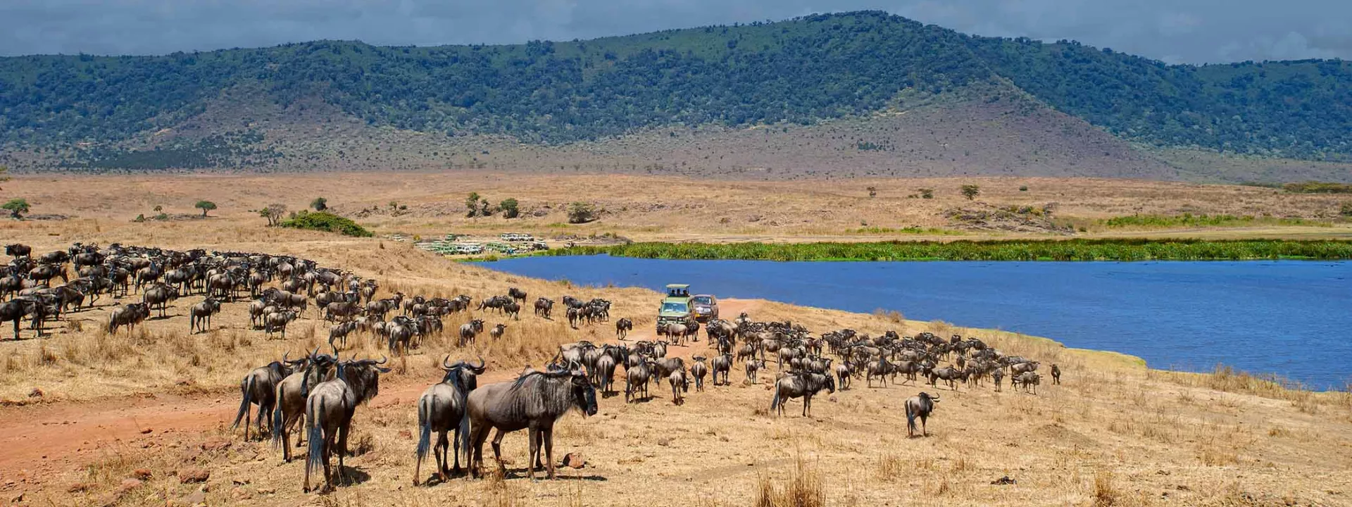 Voyage Tanzanie