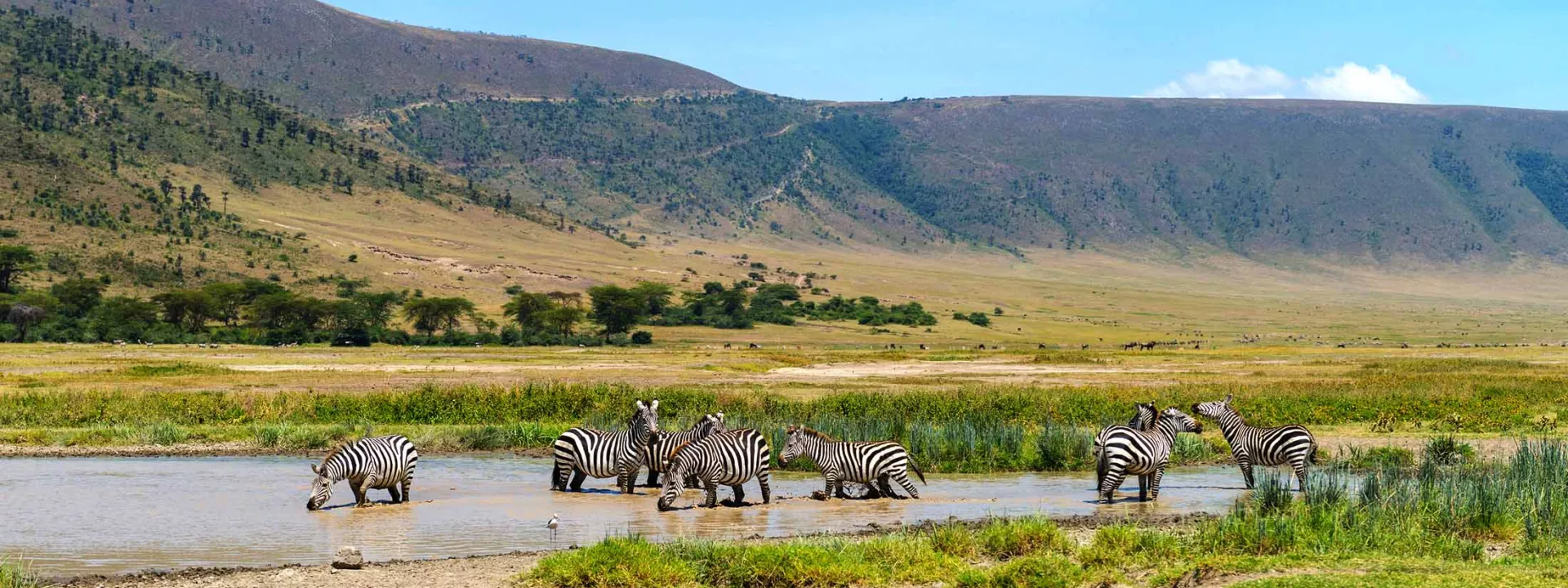 Voyage Tanzanie 