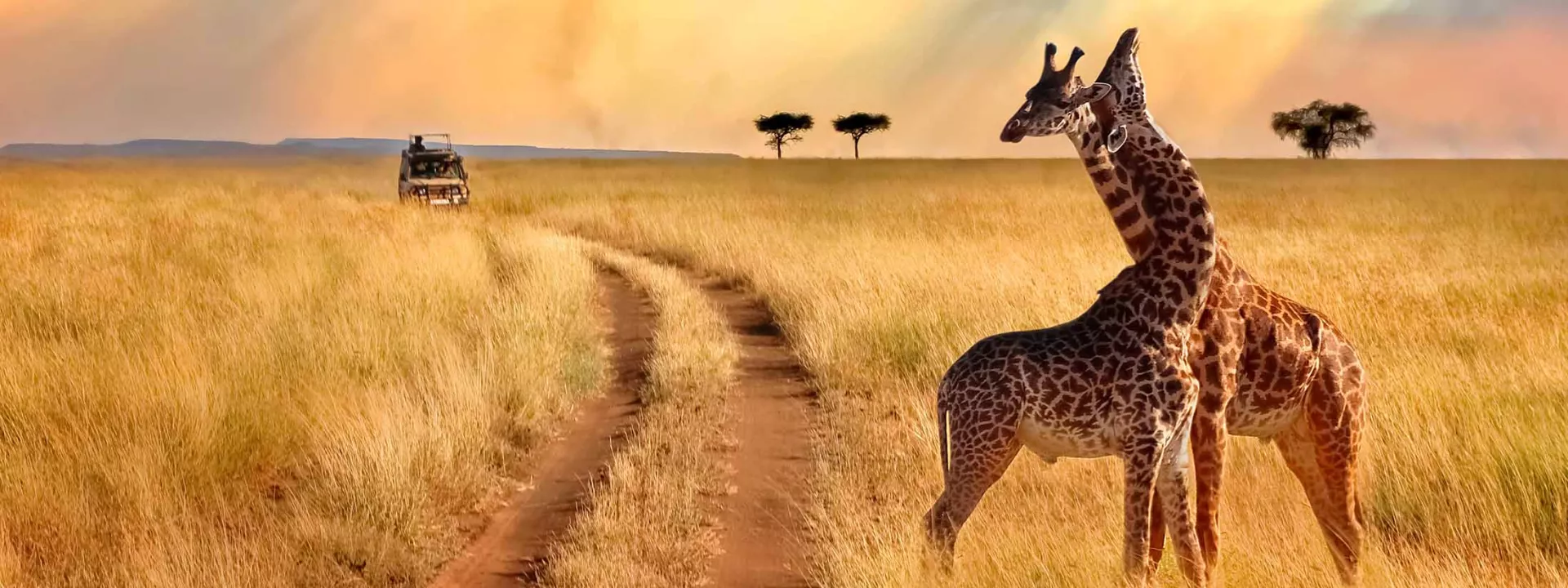 Voyage Tanzanie 