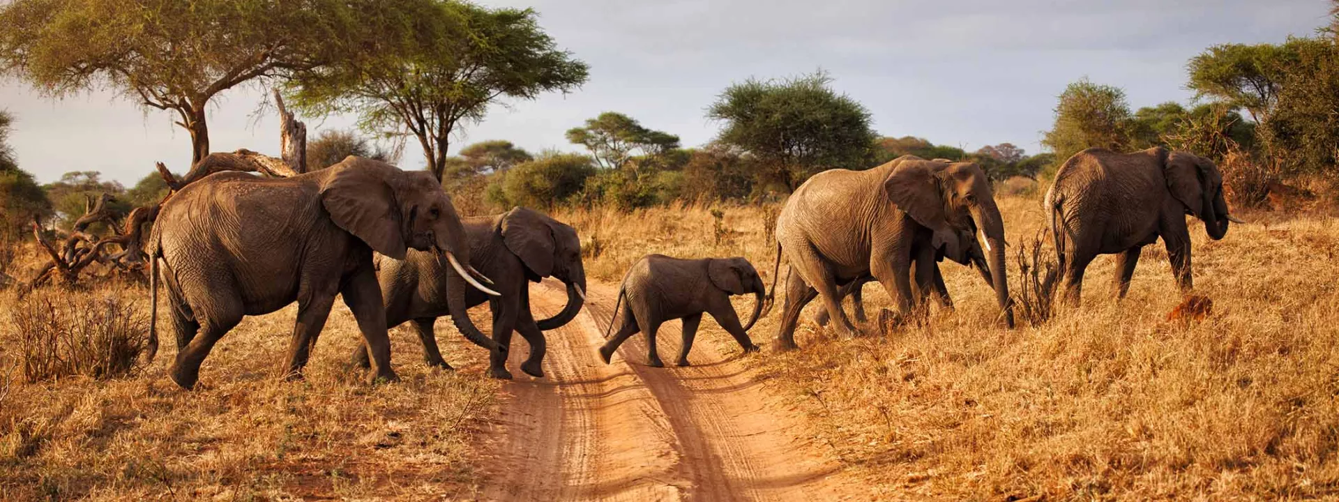 Voyage Tanzanie