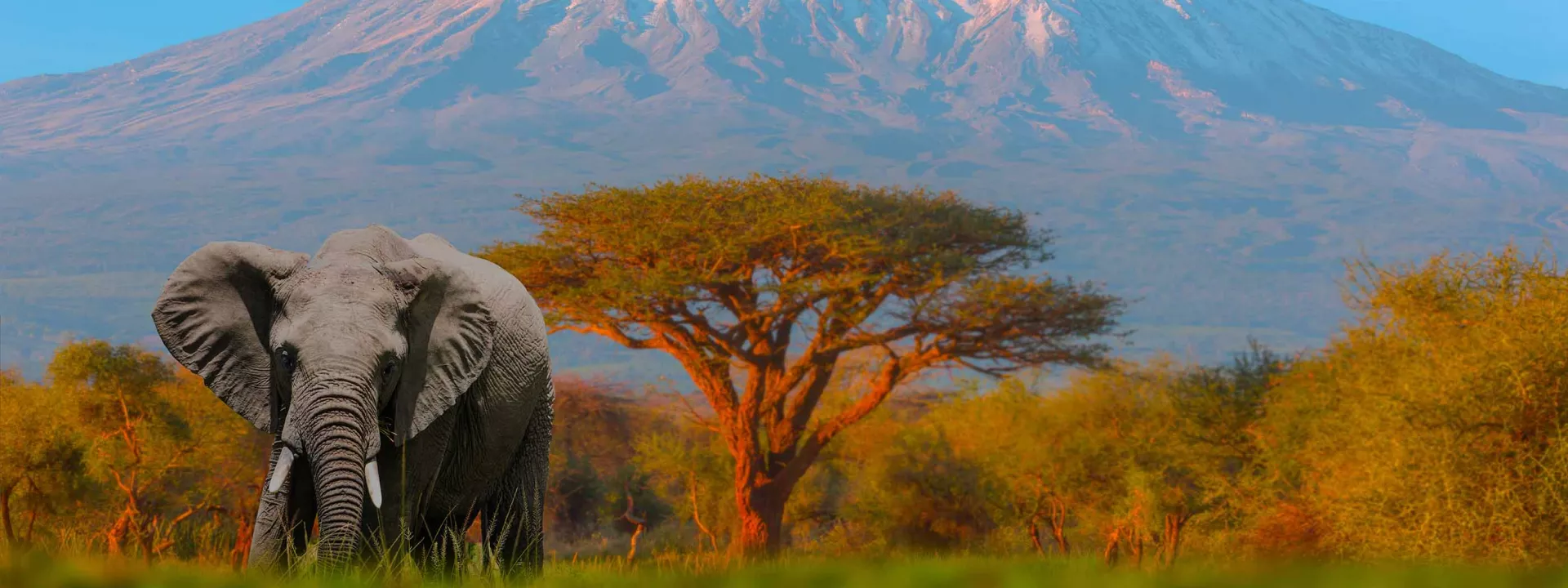 Voyage Tanzanie