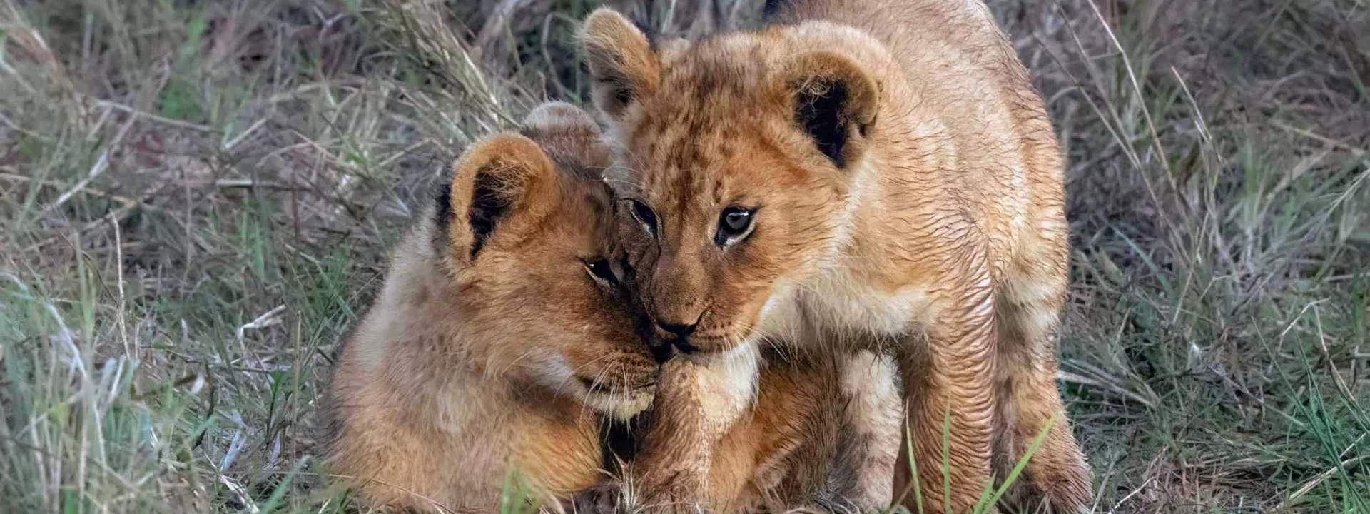 Voyage Tanzanie
