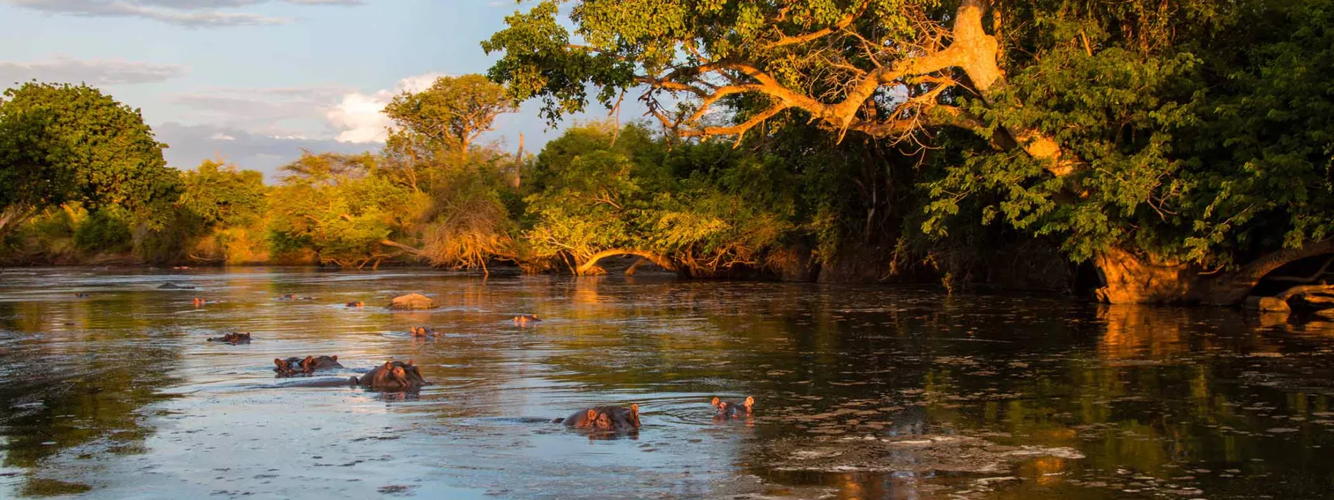 Voyage Tanzanie