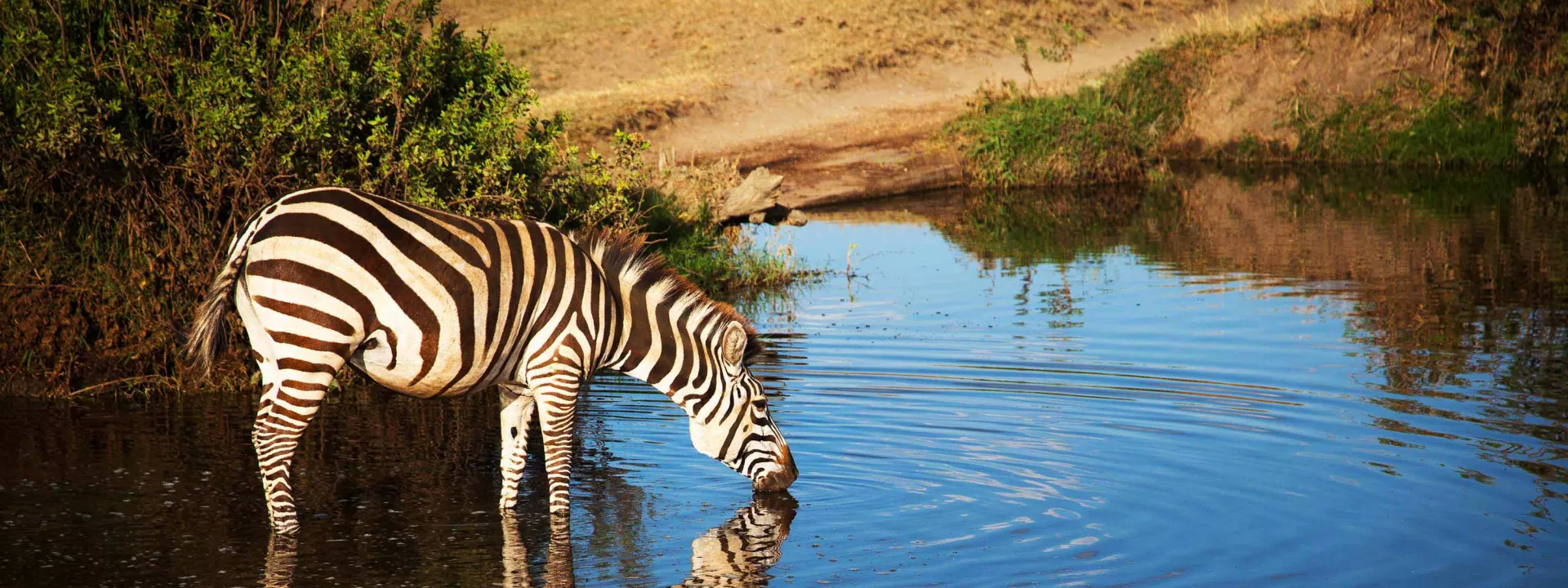 Voyage Tanzanie