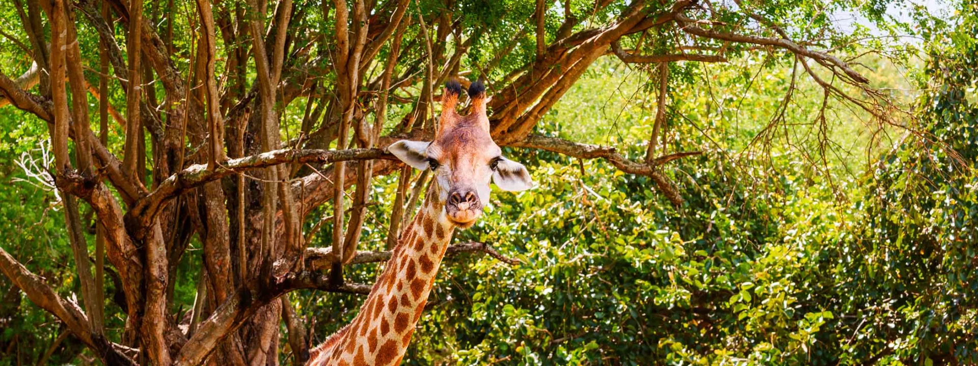 Voyage Tanzanie