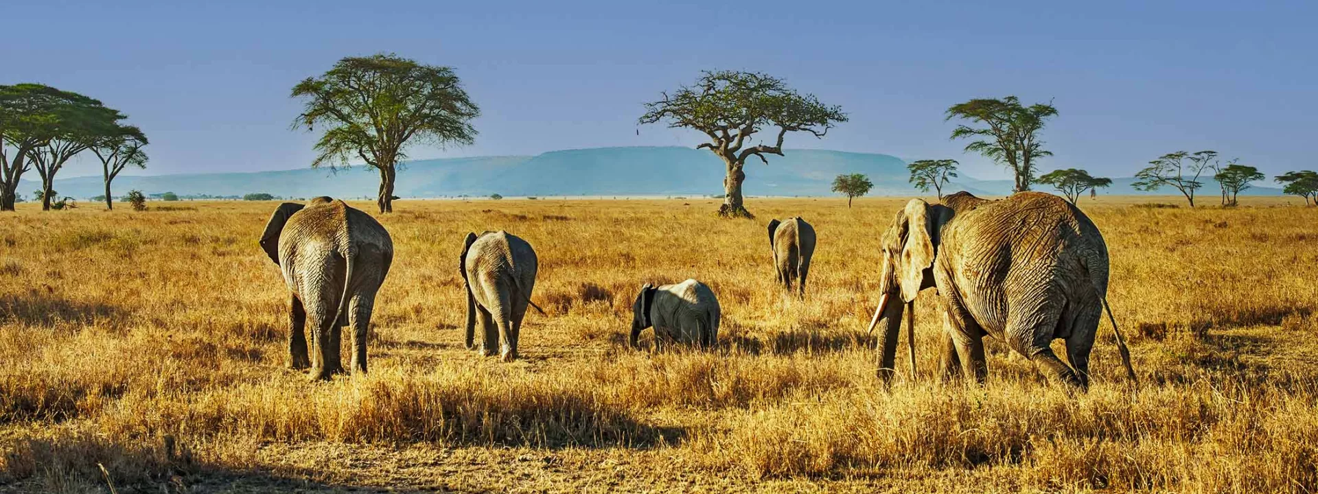 Voyage Tanzanie