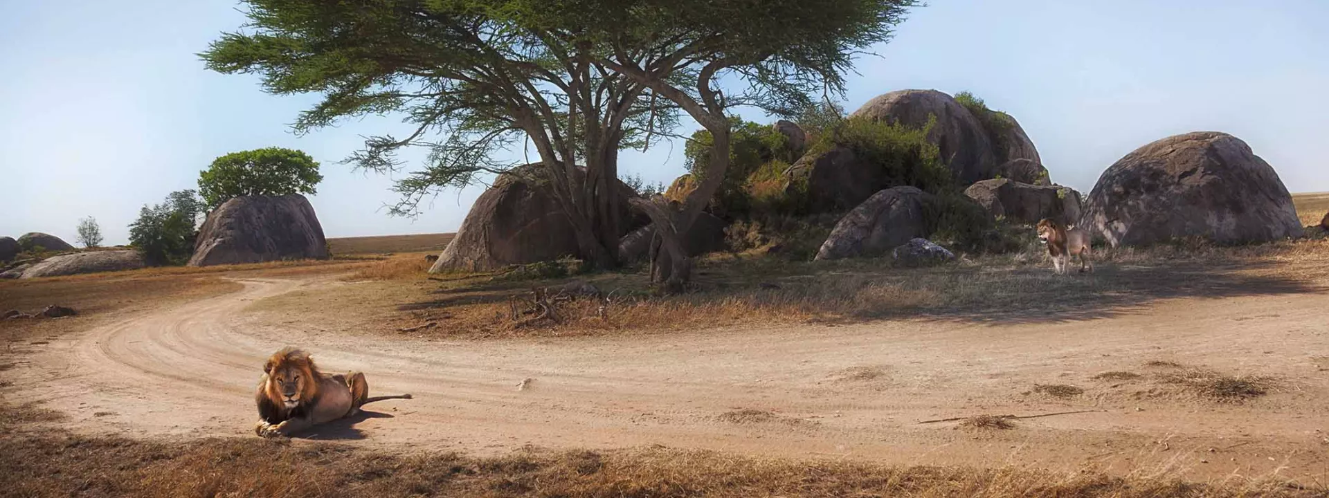 Voyage Tanzanie