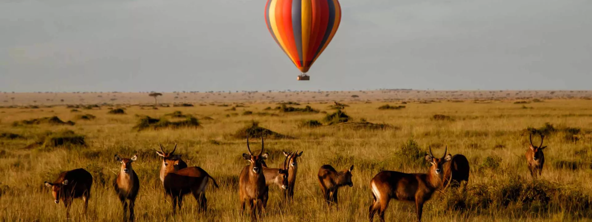 Voyage Kenya