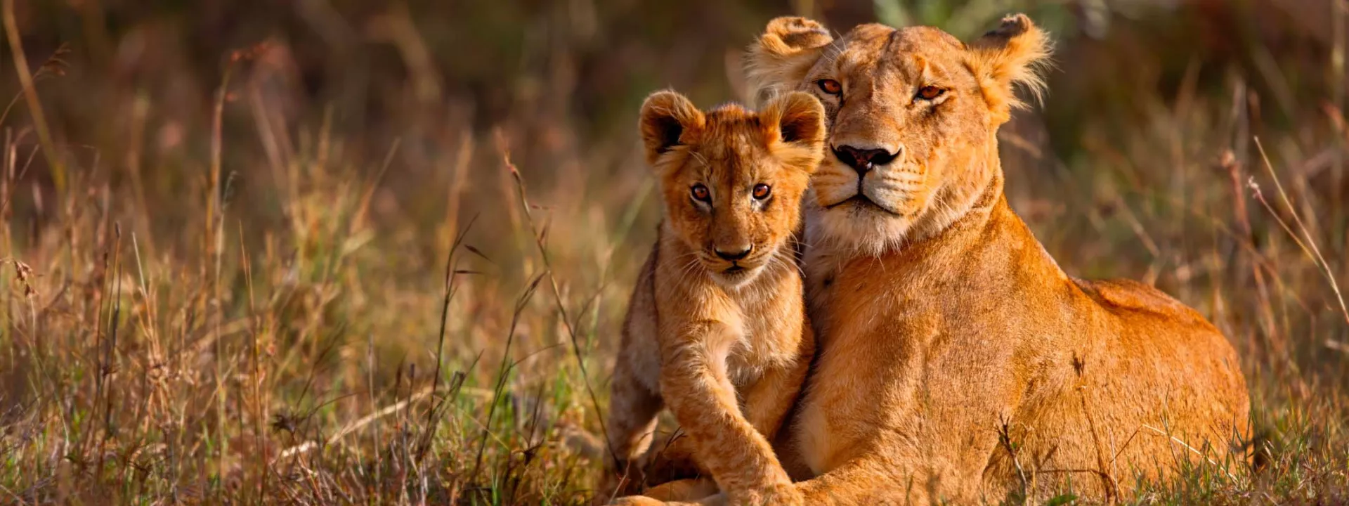 Voyage Kenya