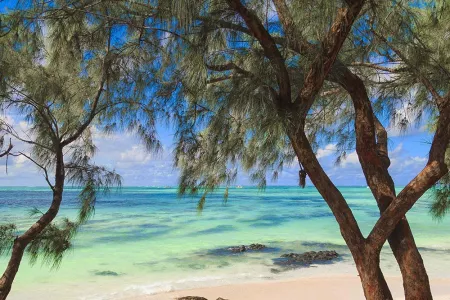 Voyage Île Maurice 