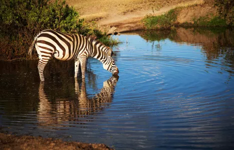 Voyage Tanzanie