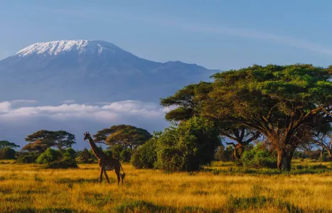 Voyage Kenya 