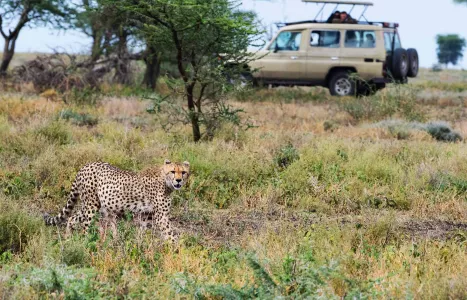 Voyage Tanzanie