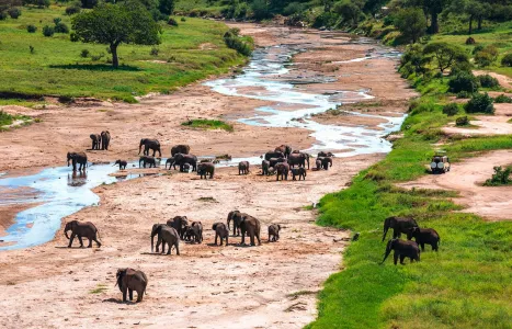 Voyage Tanzanie