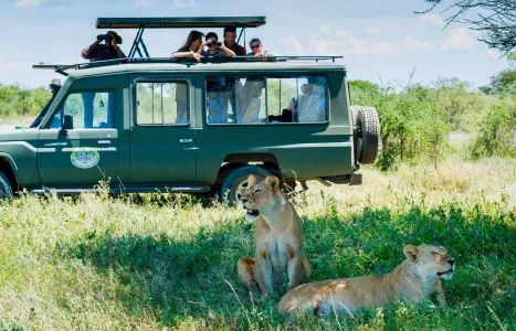 Voyage Tanzanie