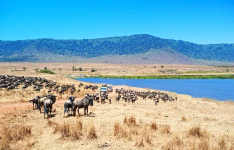 Voyage Tanzanie