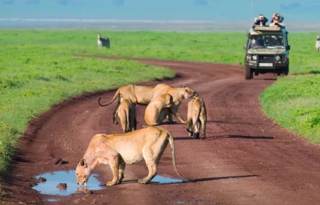 Voyage Tanzanie