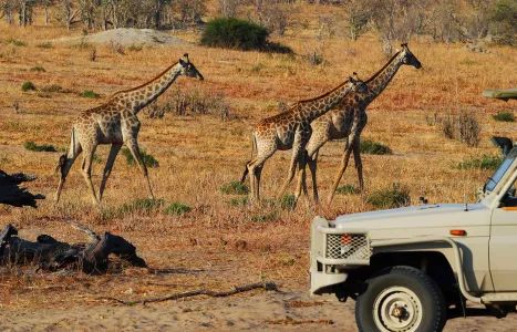 Voyage Tanzanie