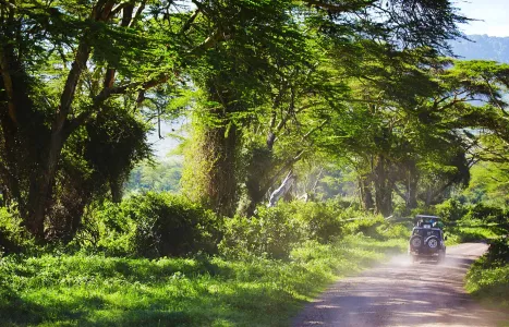 Voyage Tanzanie
