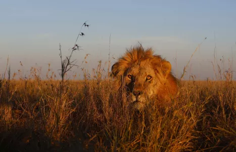 Voyage Tanzanie
