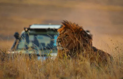 Voyage Kenya