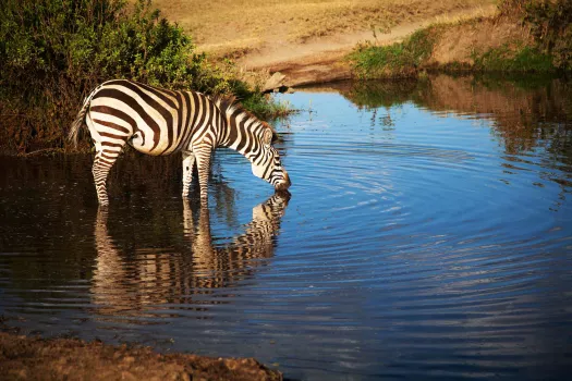 Voyage Tanzanie