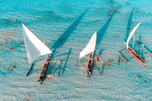 Voyage Zanzibar