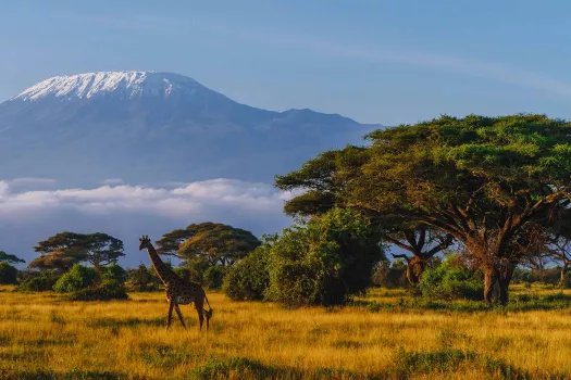 Voyage Kenya 