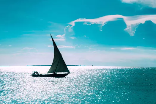 Voyage Zanzibar