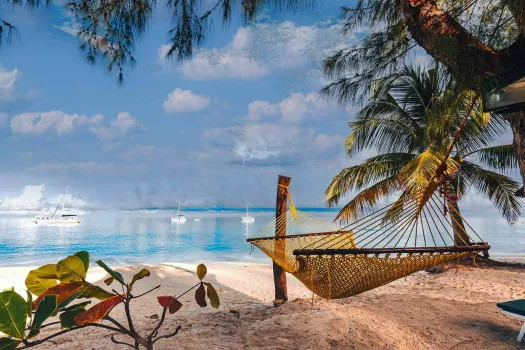 Voyage Zanzibar