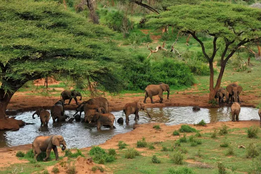 Voyage Kenya