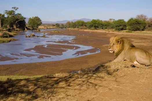 Voyage Kenya